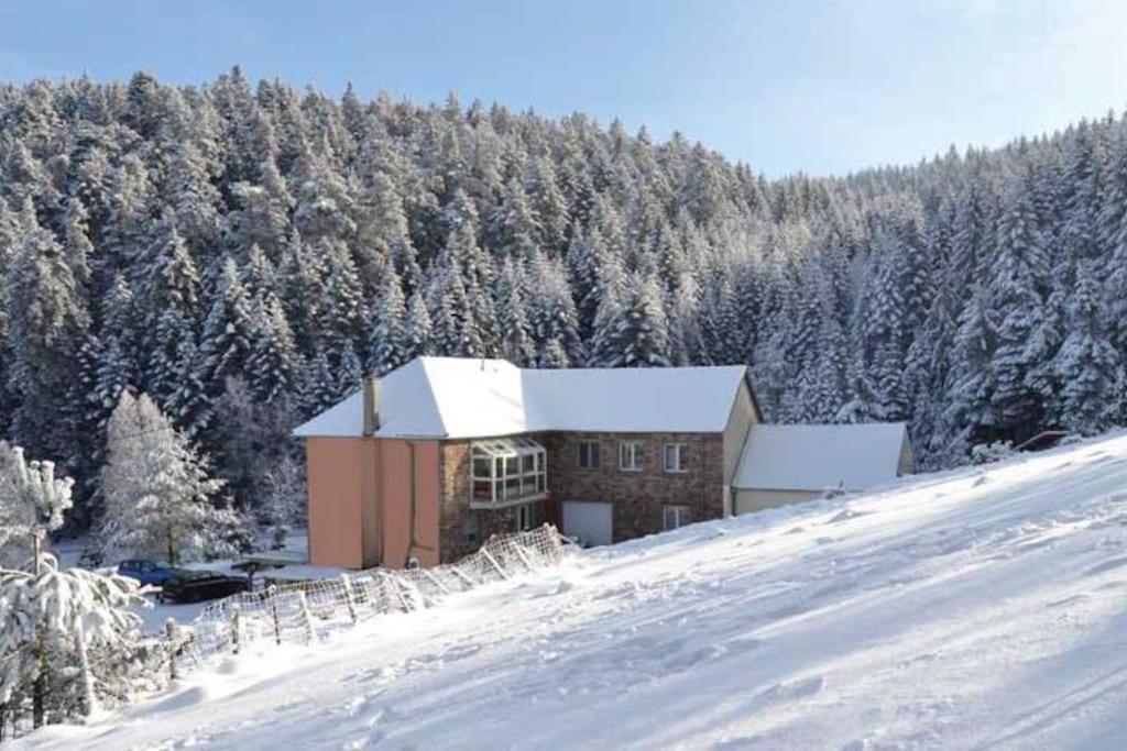 Gite Gretel De La Ferme Du Schneeberg Wangenbourg-Engenthal Luaran gambar