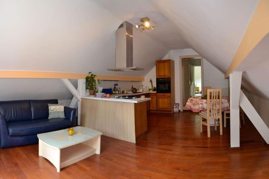 Gite Gretel De La Ferme Du Schneeberg Wangenbourg-Engenthal Luaran gambar