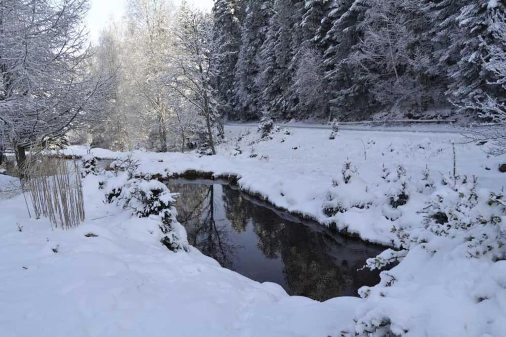Gite Gretel De La Ferme Du Schneeberg Wangenbourg-Engenthal Luaran gambar