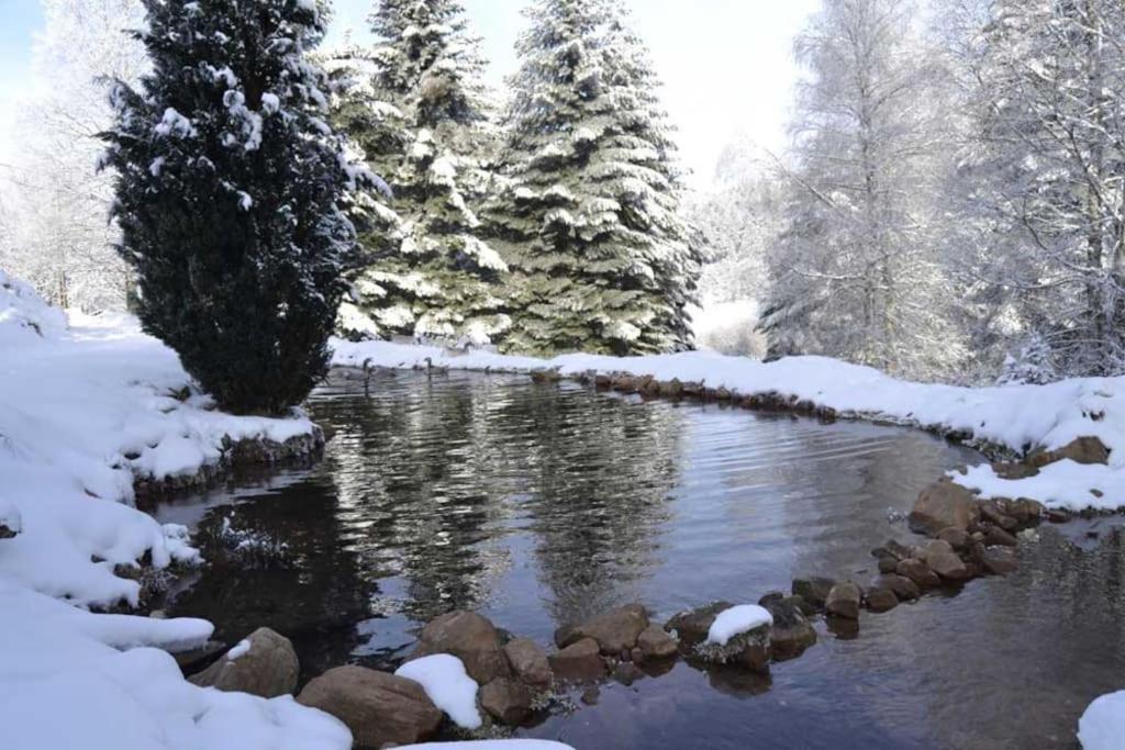 Gite Gretel De La Ferme Du Schneeberg Wangenbourg-Engenthal Luaran gambar