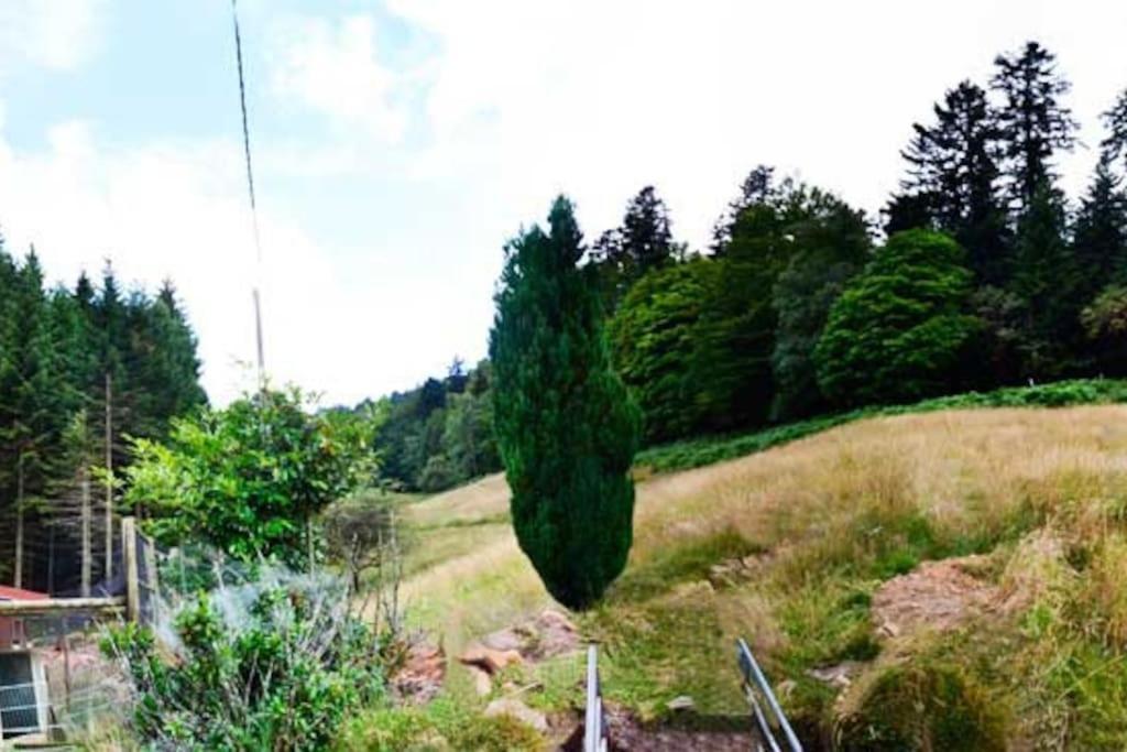 Gite Gretel De La Ferme Du Schneeberg Wangenbourg-Engenthal Luaran gambar