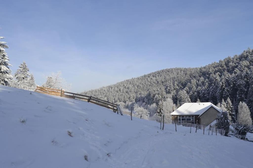 Gite Gretel De La Ferme Du Schneeberg Wangenbourg-Engenthal Luaran gambar