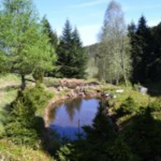 Gite Gretel De La Ferme Du Schneeberg Wangenbourg-Engenthal Luaran gambar